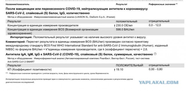 Пандемия. Коронавирус. Россия и мир. Последняя информация. Часть 23