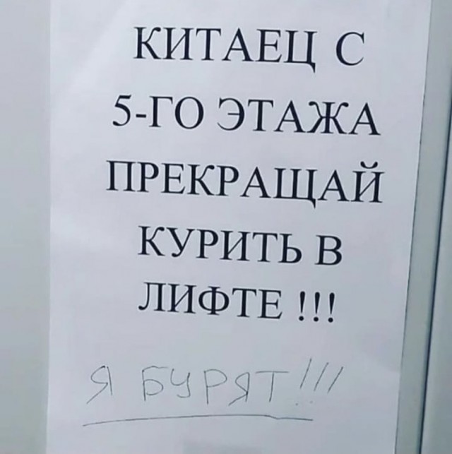 Весёлый полтишок 14.11