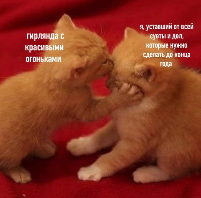 Есть два типа девушек и другие картинки 20.12.21