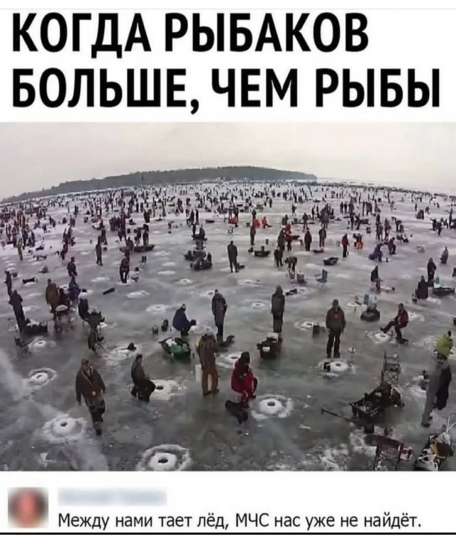 Всяческие картинки 29.12.2021