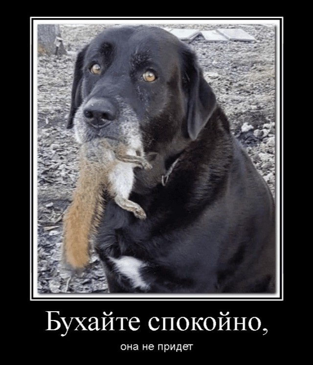 На Зеленского покушались 3 раза