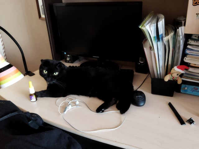 Ну, поехали в котоввторник!