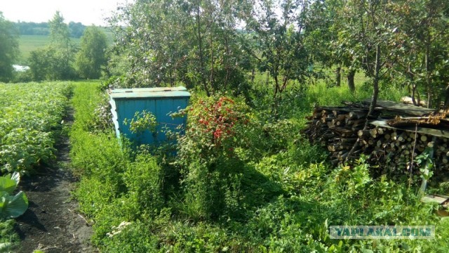 Что-то домой захотелось, в деревню мою
