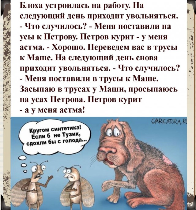 Так себе картинки 15.05.22