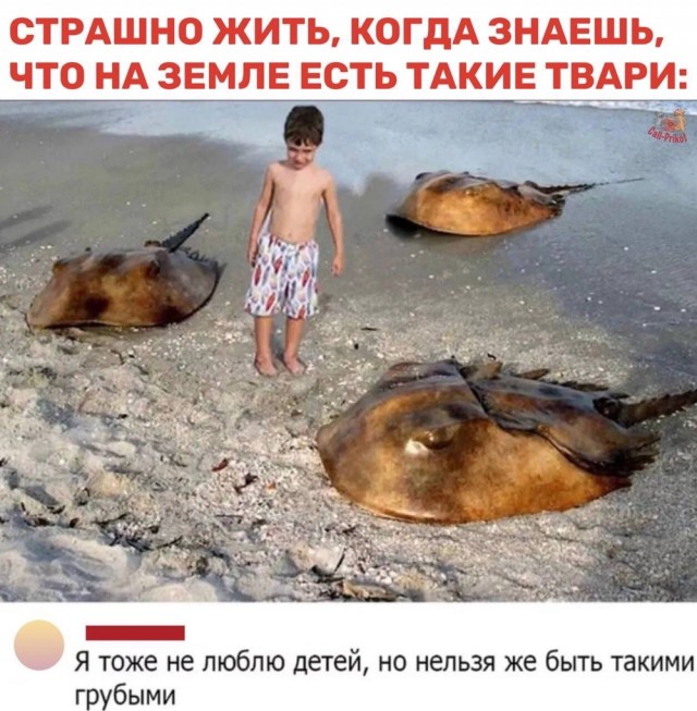 Разнообразного характера мемы