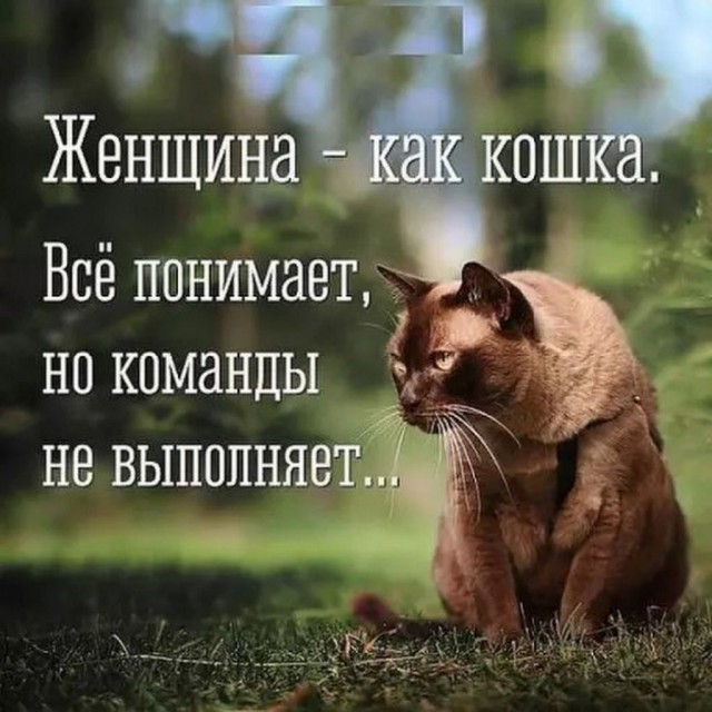 Сборник Боянов №2