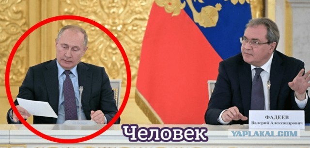 Про указ о новых традиционных ценностях