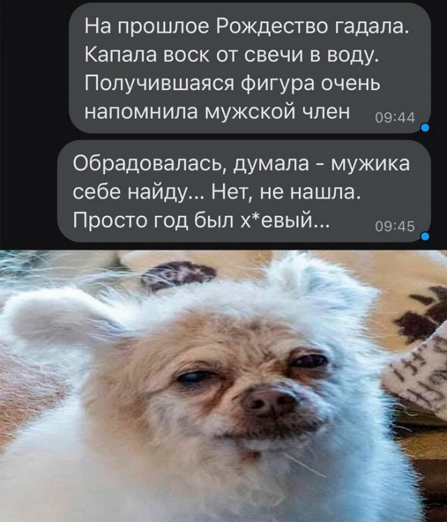 Картинки и мемы, выходные продолжаются