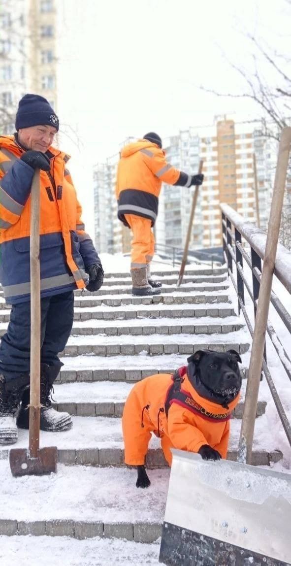 Самый хороший коммунальщик трудится в Солнцево