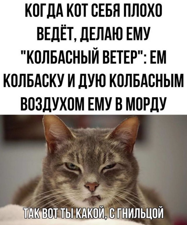 Картинки и мемы. Выходные близко...