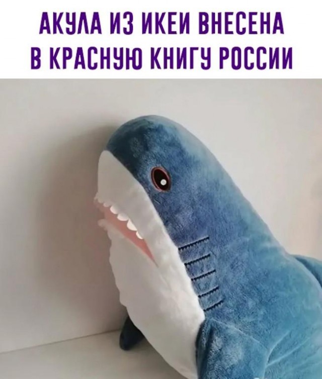 В Россию придет белорусский аналог IKEA