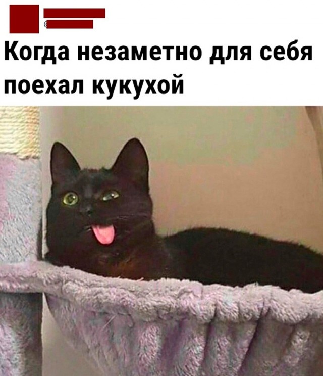 Так себе картинки 18.05.23