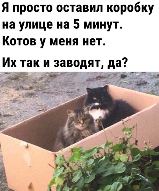 Так себе картинки 24.07.23