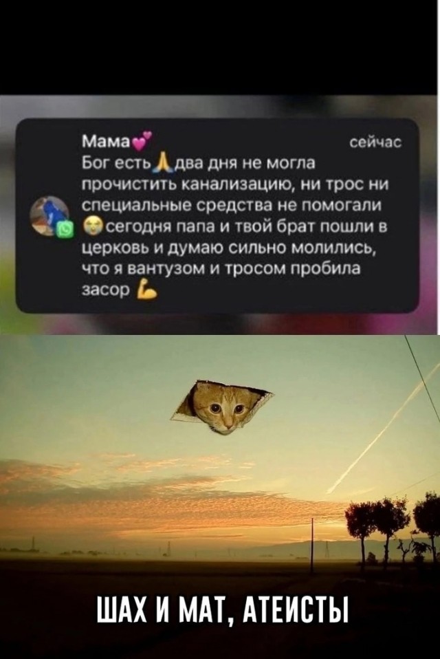 Слава богу, я безбожник #7