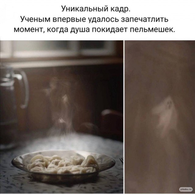 Подборка пельменей