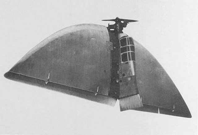 Необычный самолет Verhees Delta D-2
