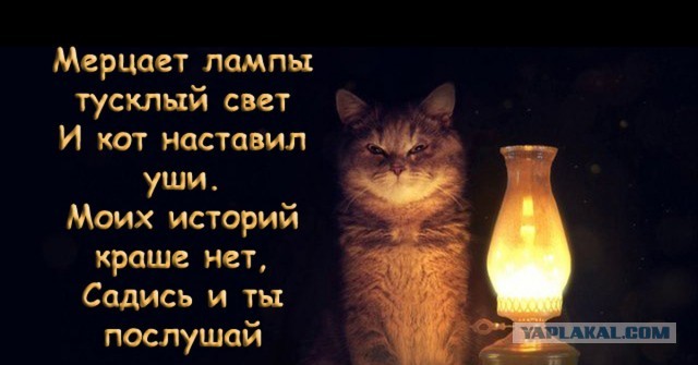 Муж уехал работать на вахту, а вернулся с сыном и двумя любовницами