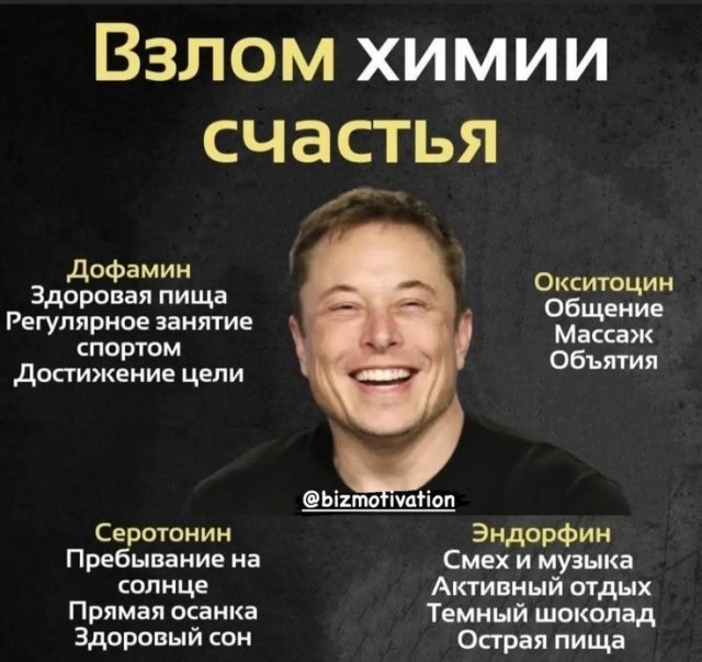 Весёлый полтишок 04.03.24
