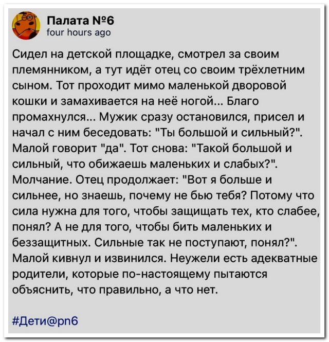 Забавные комментарии из социальных сетей (22.04.24)