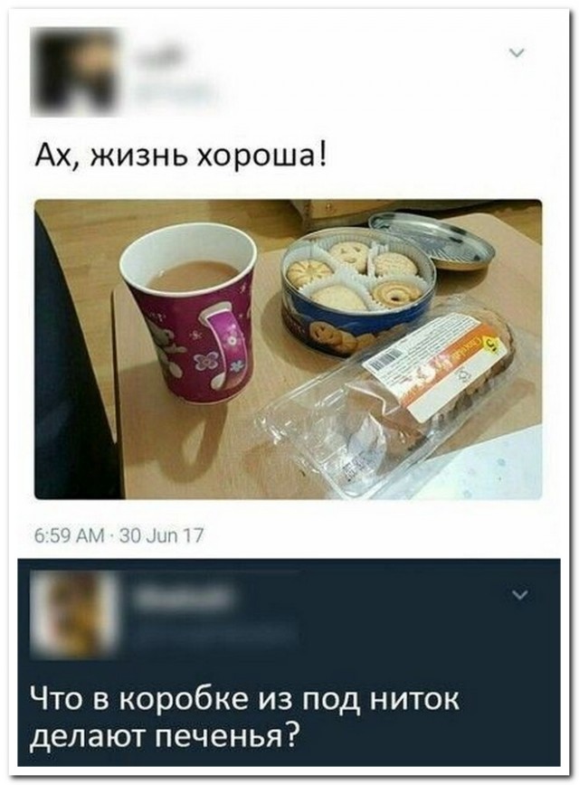Забавные комментарии из социальных сетей (06.05.24)