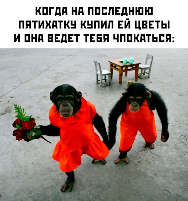 Весёлый полтишок 13.08.24