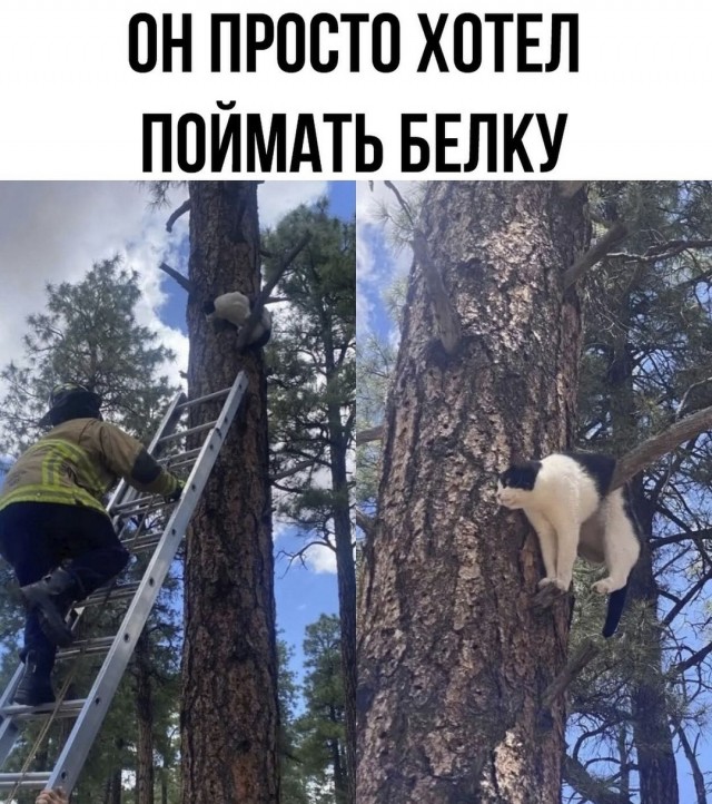 Завалялось тут случайно немного забавных картинок