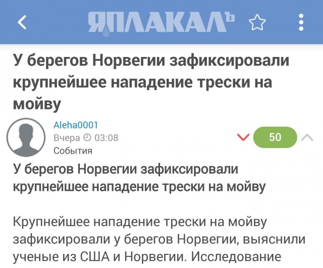У берегов Норвегии зафиксировали крупнейшее нападение трески на мойву