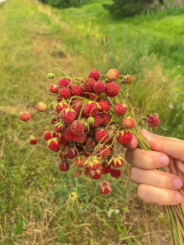ФотоВинегрет