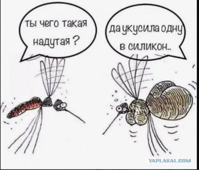 Завалялось тут случайно немного забавных картинок