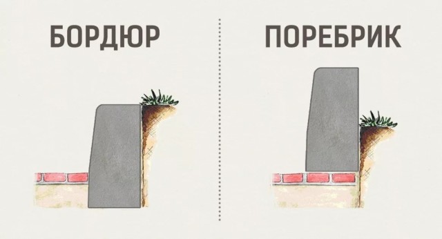 Аморальный поступок