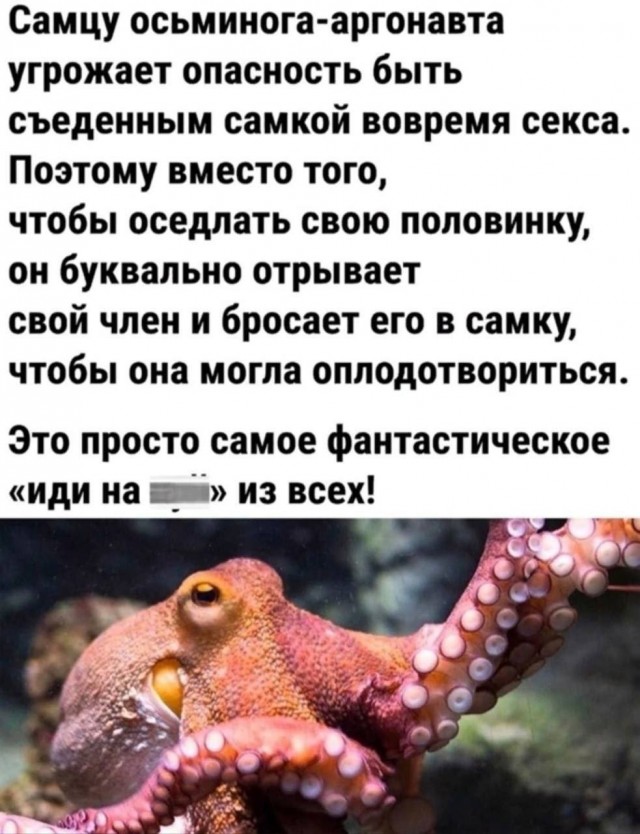 Из мира деградации - 15