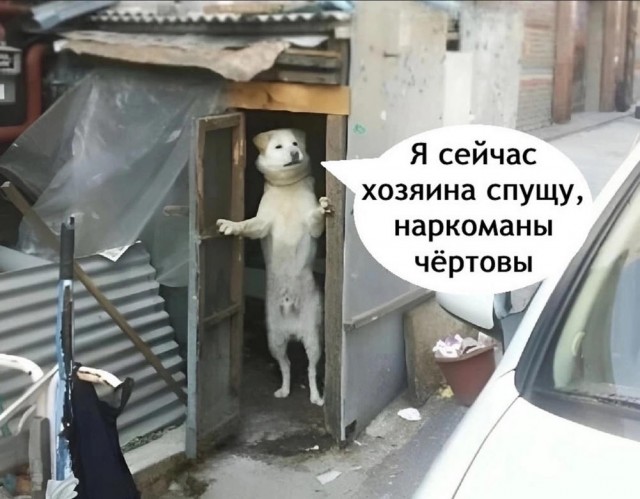 Нуштош 28.02.2025. Затерявшиеся мгновения (s3e8)