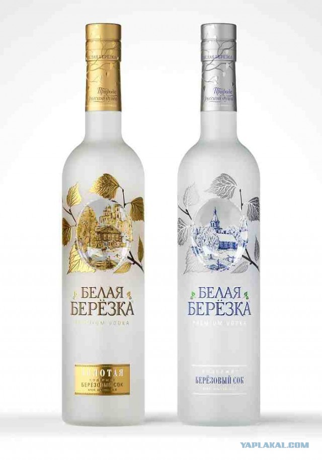 Законный сбор берёзового сока