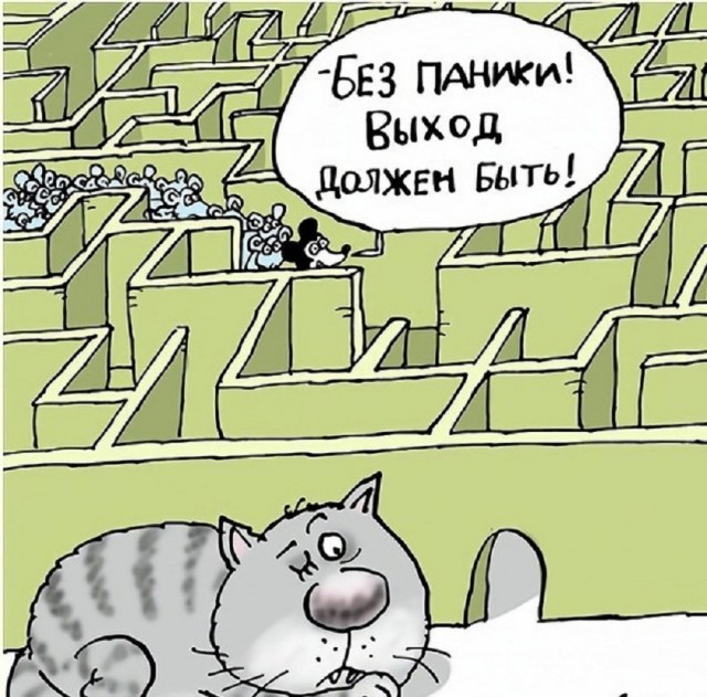 Так себе картинки 28.06.25