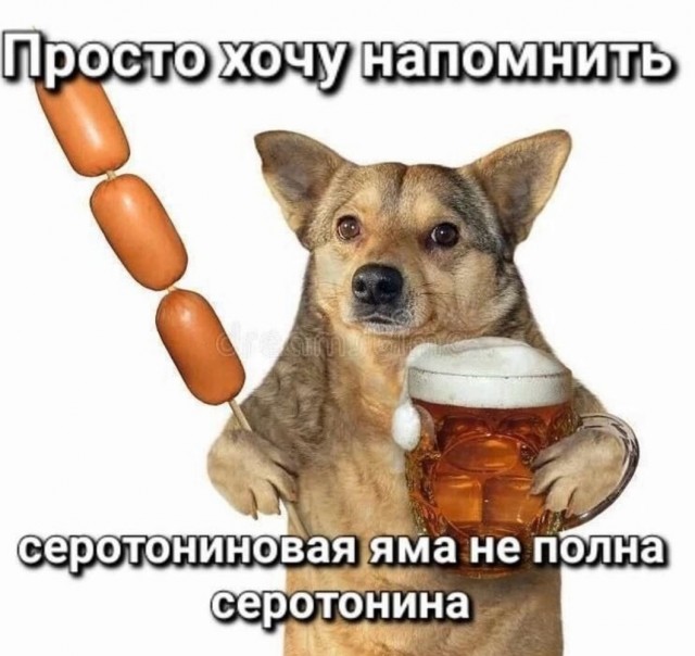 Веселое настроение в картинках (04.08.2025)