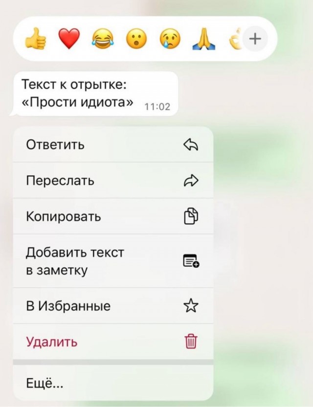 «Прости идиотка».