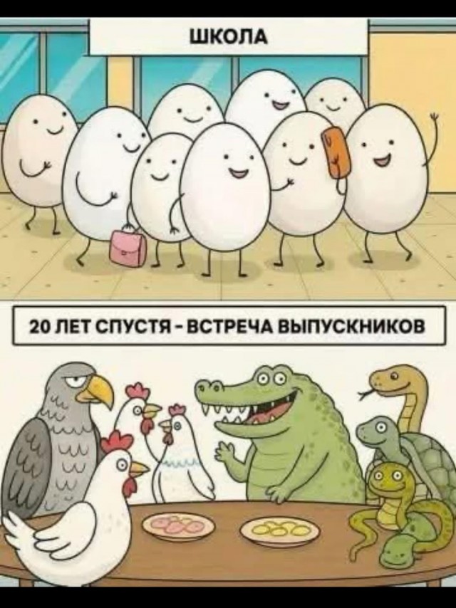 Все мы из одной школы