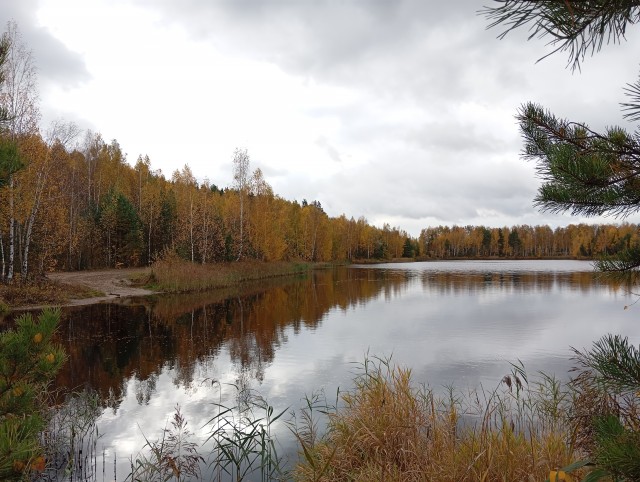 Фото всякие с телефона.