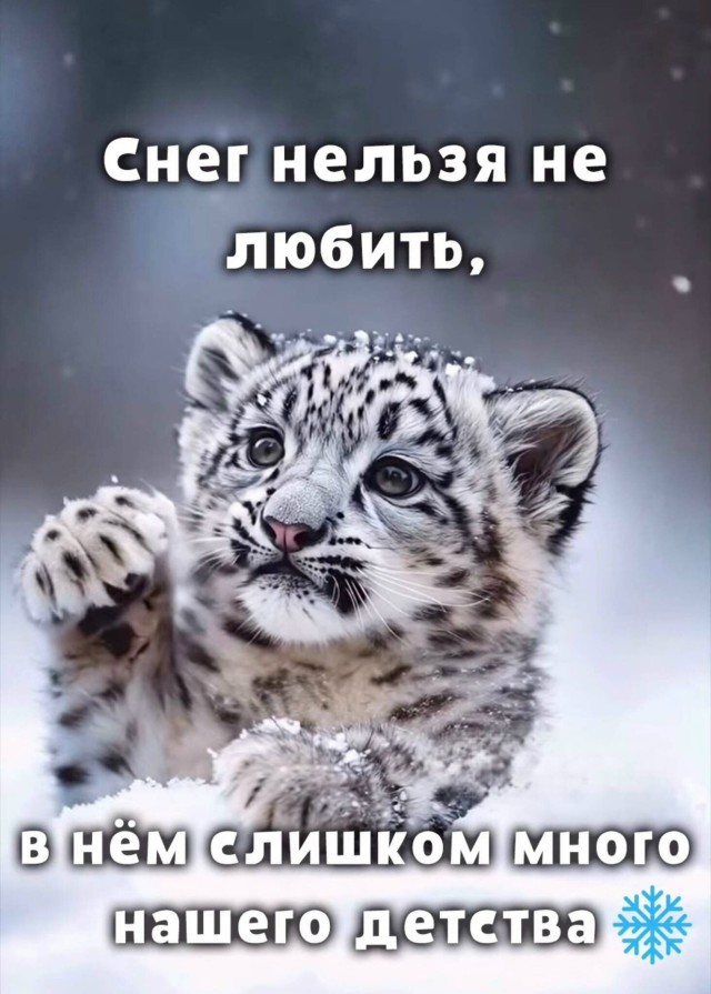 Так себе картинки 19.11.25