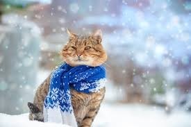 Зима утомила