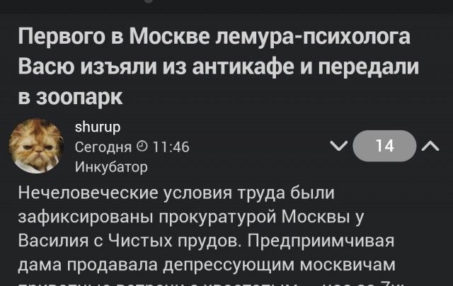 Власти Мадагаскара предотвратили попытку госпереворота и покушение на президента