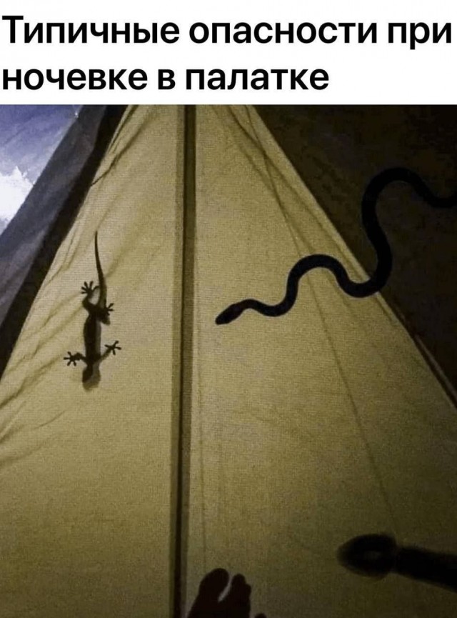 Веселые картинки в маленькую пятницу (15.04)