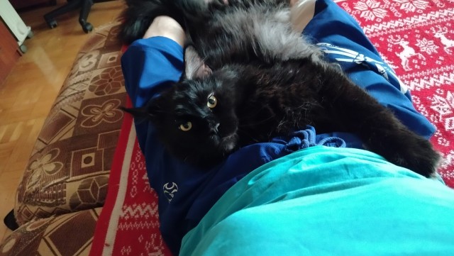 Филя