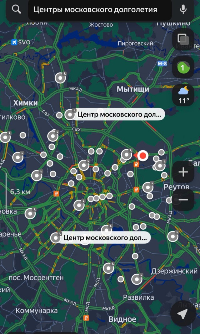 В Москве стартовал летний сезон «Московского долголетия»
