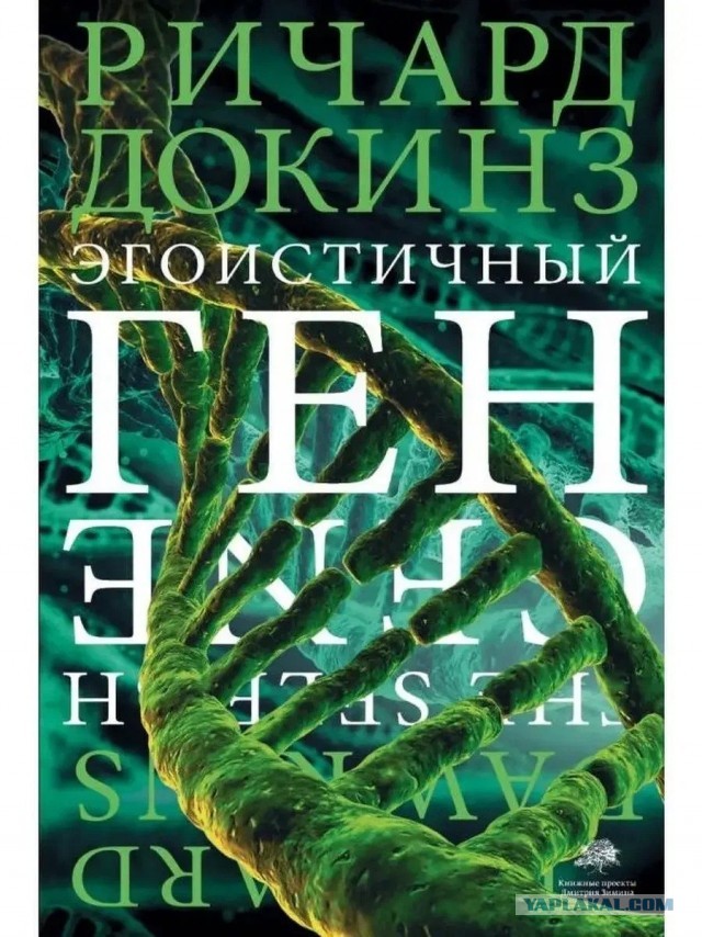 Власть на самом деле