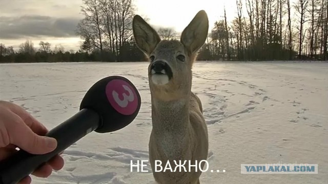 Именно таким, по мнению женщины-сценариста, должен быть настоящий мужчина