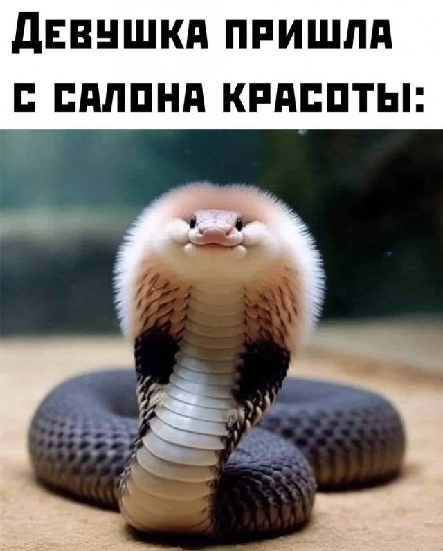 Так себе картинки 24.07.26