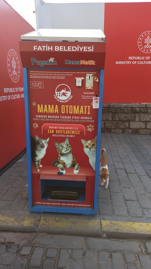 "Мужики, спасибо, дальше я сам"
