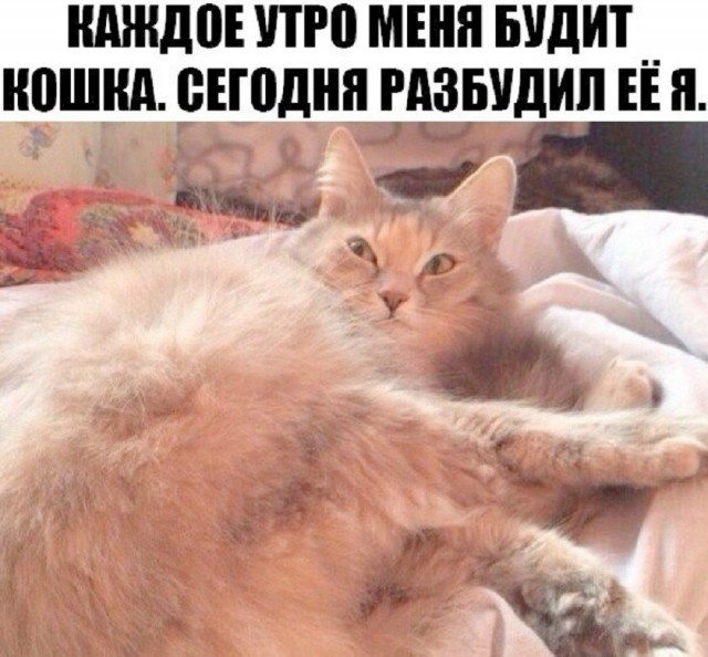 Так себе картинки 13.08.26