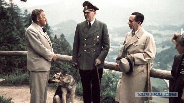 Горит бывшая крепость Адольфа Гитлера «Орлиное гнездо»